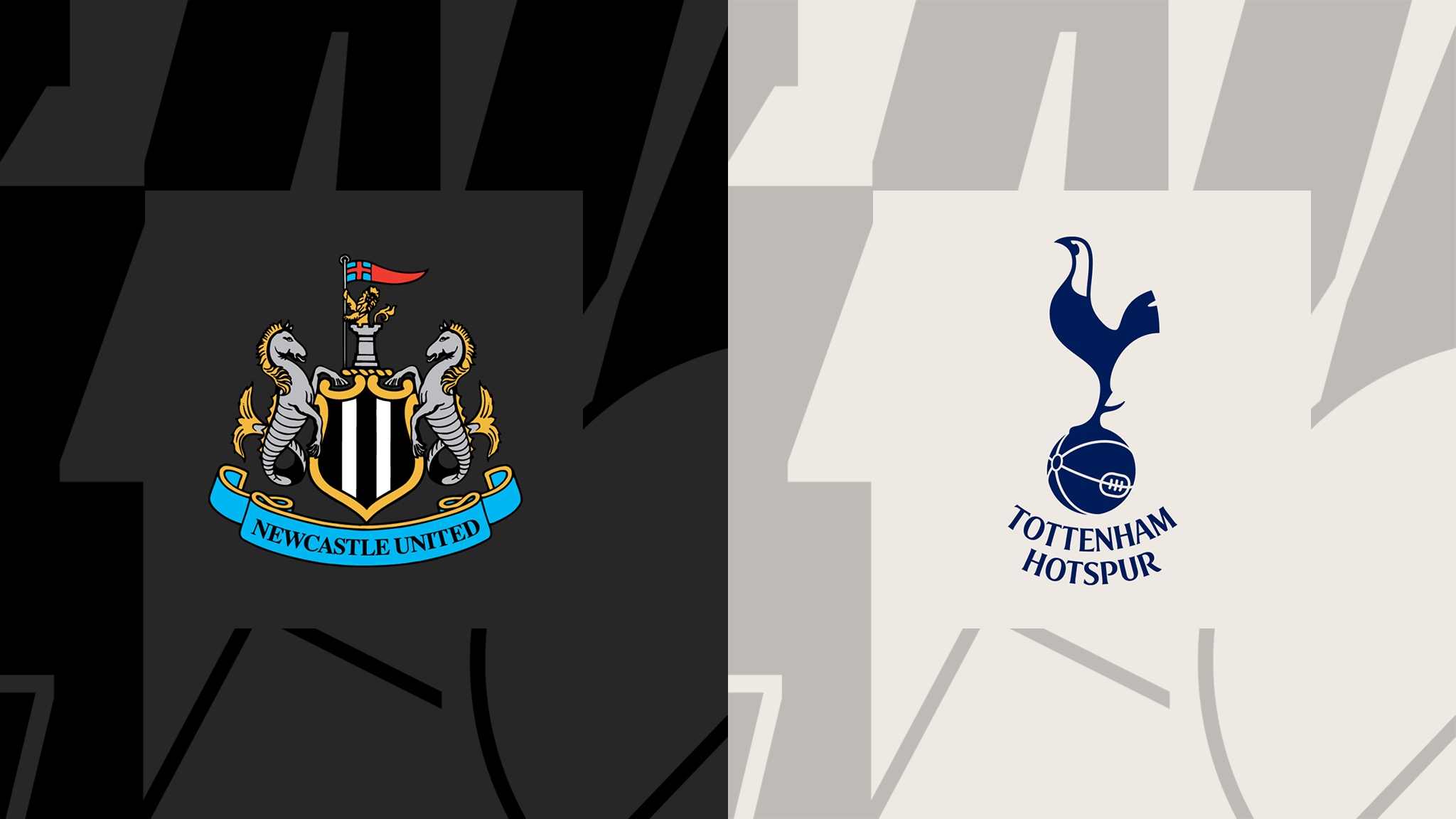 مشاهدة مباراة نيوكاسل يونايتد وتوتنهام هوتسبير بث مباشر اليوم Newcastle United vs Tottenham Hotspur 13/04/2024